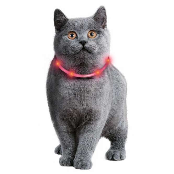 Karlie Visio Light Cat LED-Schlauch – sichtbar bis 500m, USB aufladbar