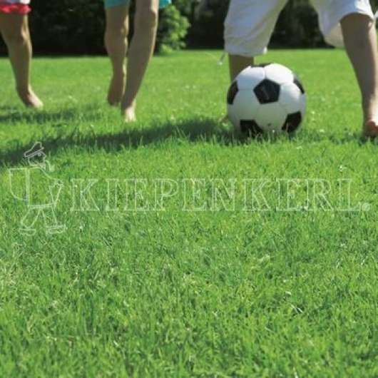 Kiepenkerl RSM 2.3 Gebrauchsrasen Spielrasen 10 kg