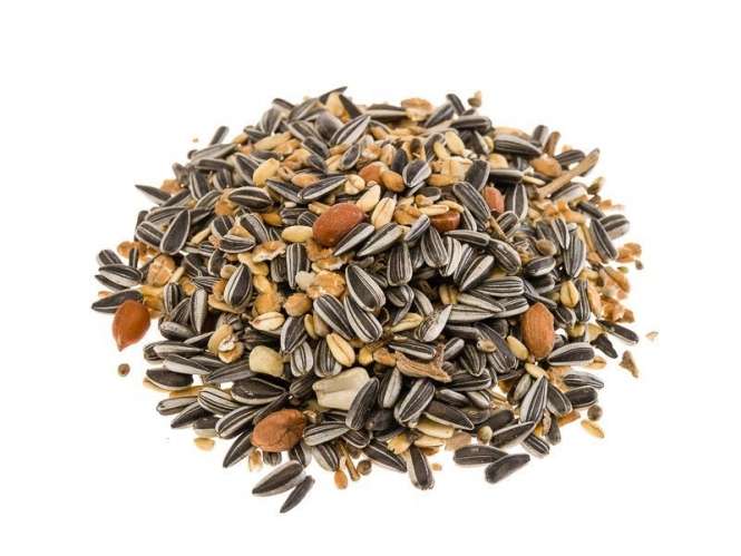 Classic Bird Meisenmix – Ergänzungsfutter für Vögel, energiereich