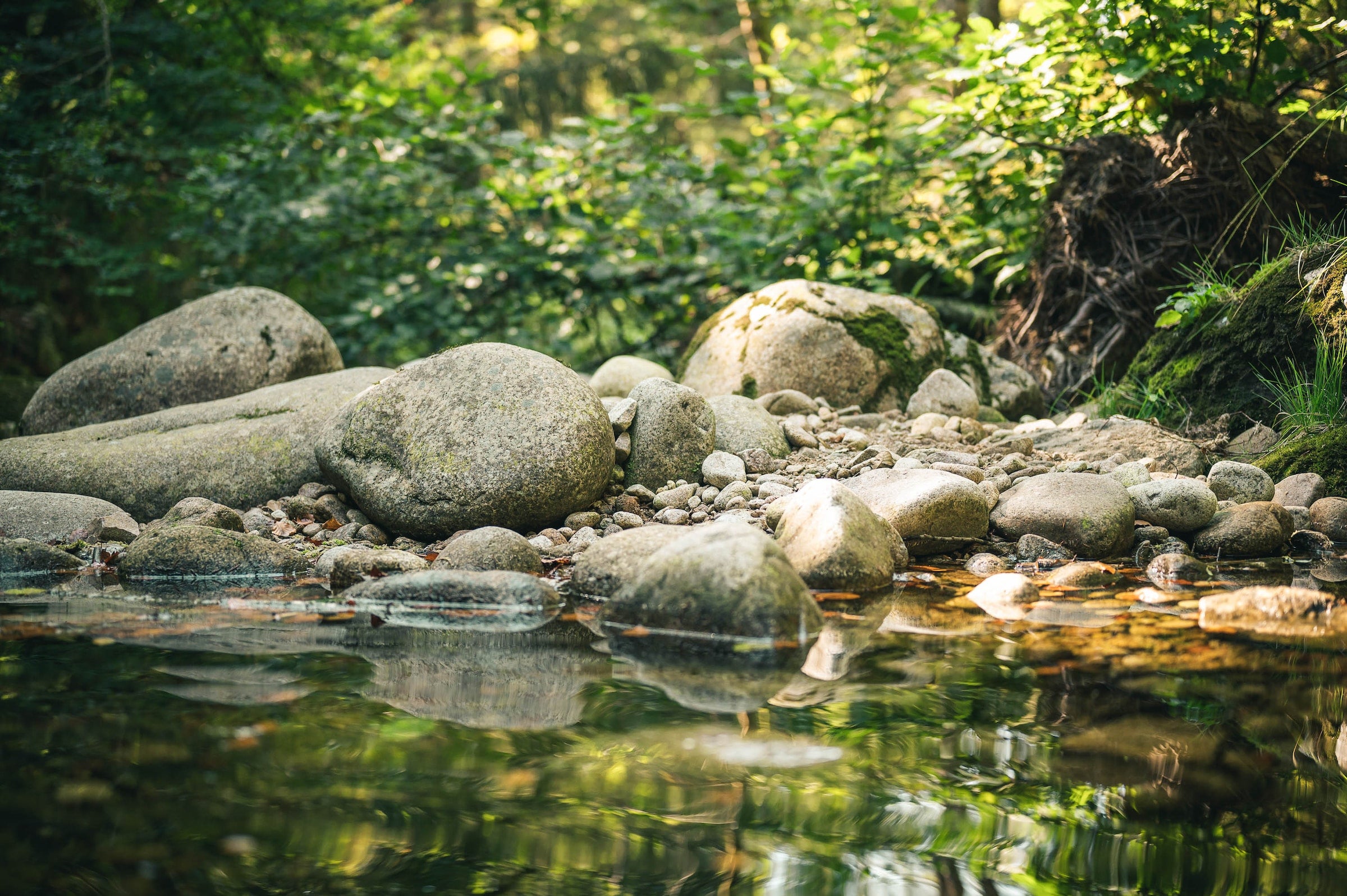 Teich mit Steinen 