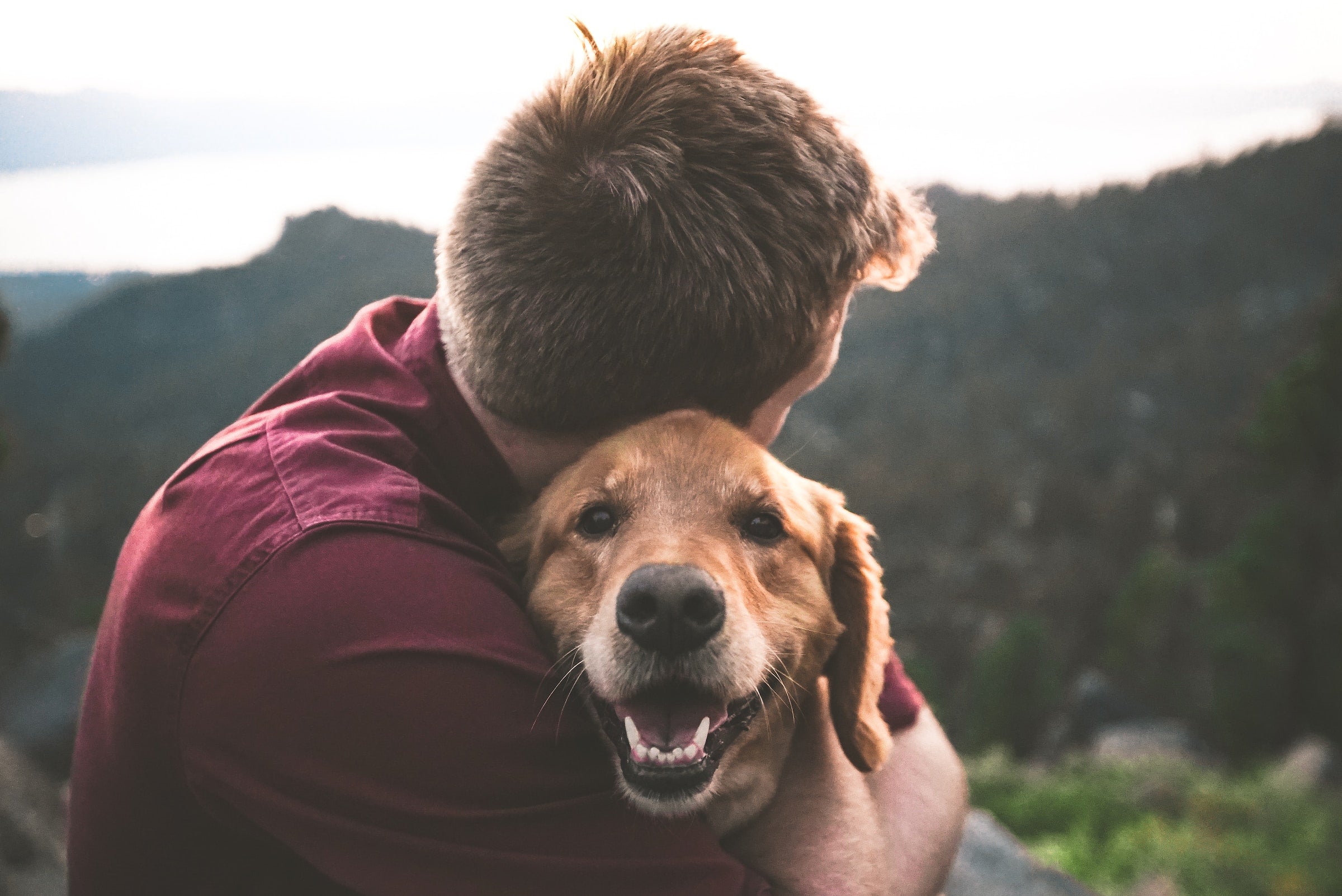 Mann streichelnd mit Hund im Arm 