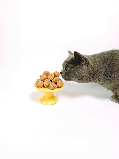 Katzensnacks