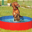 Karlie DOGGY POOL - der praktische Swimmingpool für Hunde