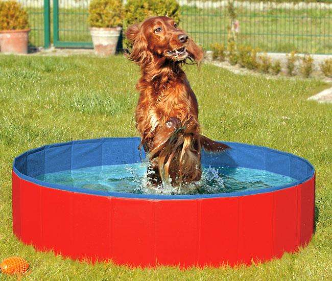 Karlie DOGGY POOL - der praktische Swimmingpool für Hunde