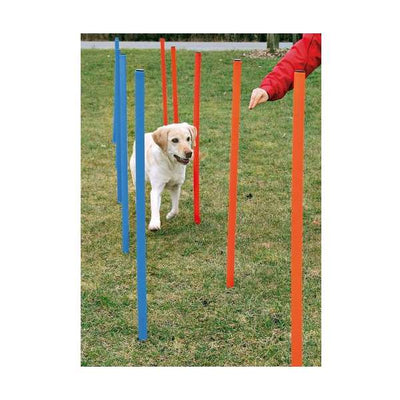 Trixie Agility Slalom – fördert Fitness und Bewegung