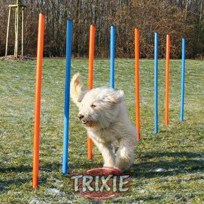 Trixie Agility Slalom – fördert Fitness und Bewegung