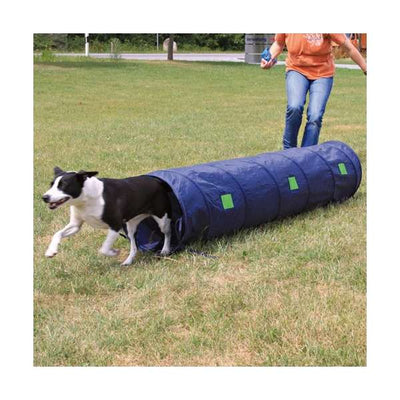 Trixie Agility Tunnel für kleine Hunde – fördert Fitness und Vertrauen