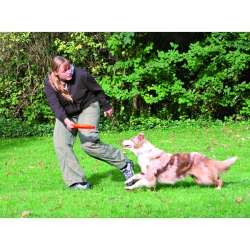 Trixie Dog Disc Frisbee – bissfest und ideal für Hundesport