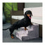 Karlie Hundetreppe EASY STEP – für ältere Hunde