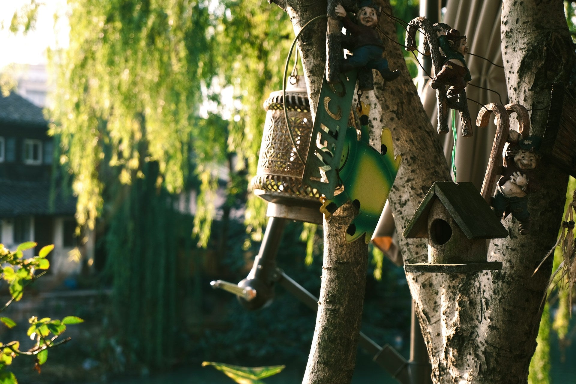 Vogelhaus im Garten