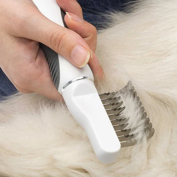 Catit Bürsten-Set für Mittel- und Langhaarkatzen - perfekte Pflege