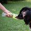 PROCYON Leckerli Flasche Travel Feeder - für unterwegs