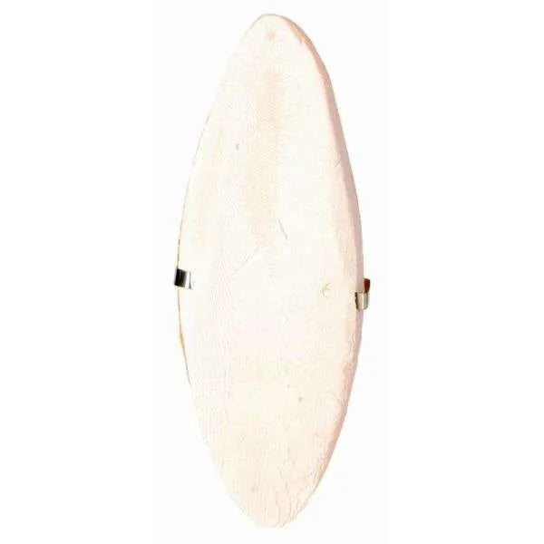Trixie Sepia-Schale mit Halter – natürliche Kalziumquelle für Vögel