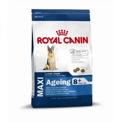 Royal Canin Size Maxi Ageing 8+ – für große Senior-Hunde
