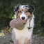 PROCYON Duck Dummy mit Kunstfell - für Apportiertraining