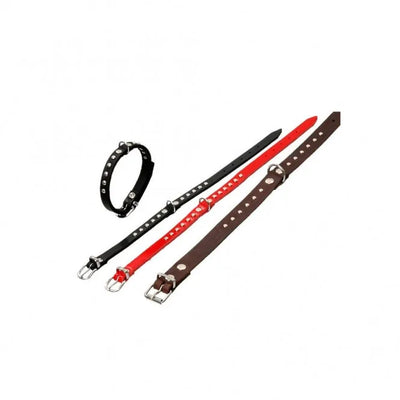 Karlie RONDO Halsband mit Ziernieten – stilvolles Design