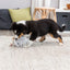 Trixie Junior Bär geräuschlos - 20 cm – waschbar bei 30°C