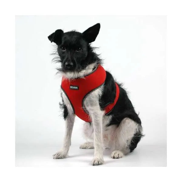 Pet-Star Softgeschirr - idealer Tragekomfort für Hunde