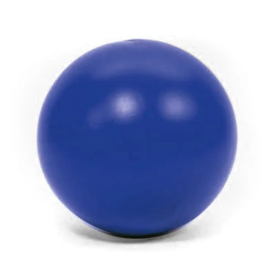 PROCYON Treibball – groß und robust für Hunde