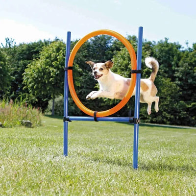 Trixie Agility Ring – höhenverstellbar und leicht zu fixieren
