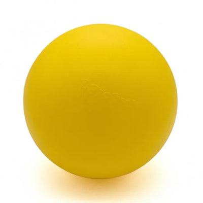 PROCYON Treibball Größe S – extra stabil für Hunde