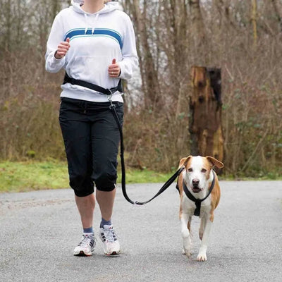 Trixie Bauchgurt mit Leine für große Hunde – ideal zum Joggen und Walken