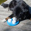 PROCYON Schnüffel-Ring – für Hunde