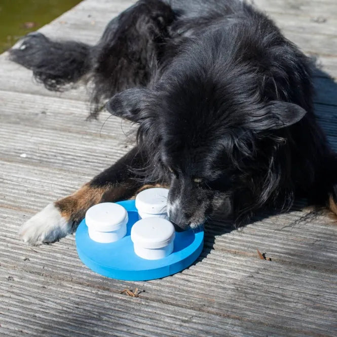 PROCYON Schnüffel-Ring – für Hunde