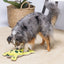 Beeztees Hide And Seek Frosch – interaktives Hundespielzeug