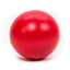 PROCYON Treibball – groß und robust für Hunde