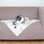 Trixie Decke Mimi - 70 x 50 cm – für Allergiker geeignet