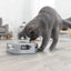 Trixie Turning Feather Katzenspielzeug – interaktives Spielzeug