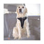 Trixie Auto-Sicherheitsgeschirr Dog Protect – sicherer Transport im Auto