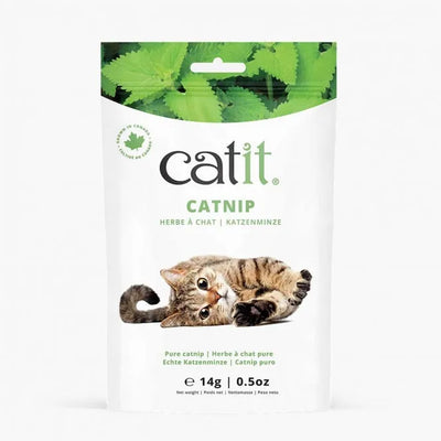 Catit Echte kanadische Katzenminze – fördert Verspieltheit