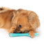 Zeus Duo Stick (klein) mit Hühnchenduft – robustes Hundespielzeug