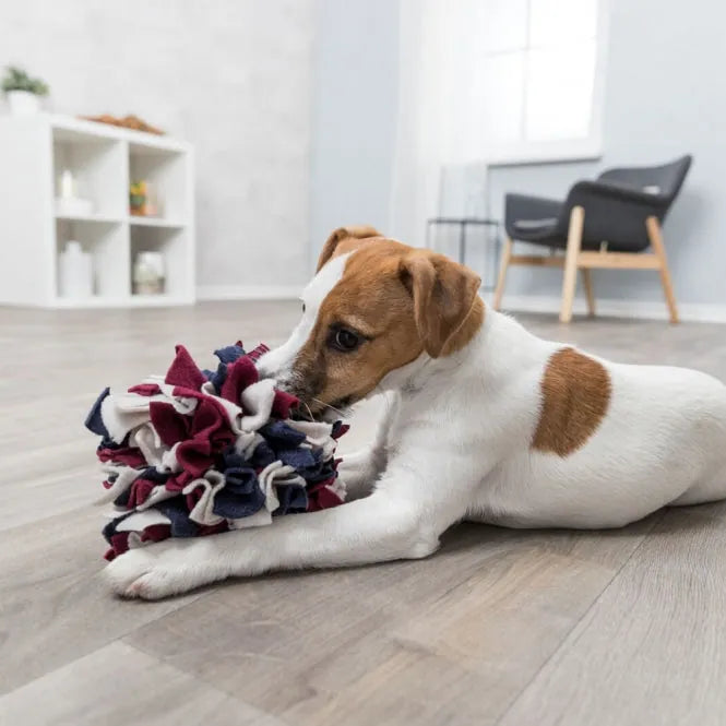 Trixie Schnüffelball für Hunde – Spielzeug mit Leckerlis