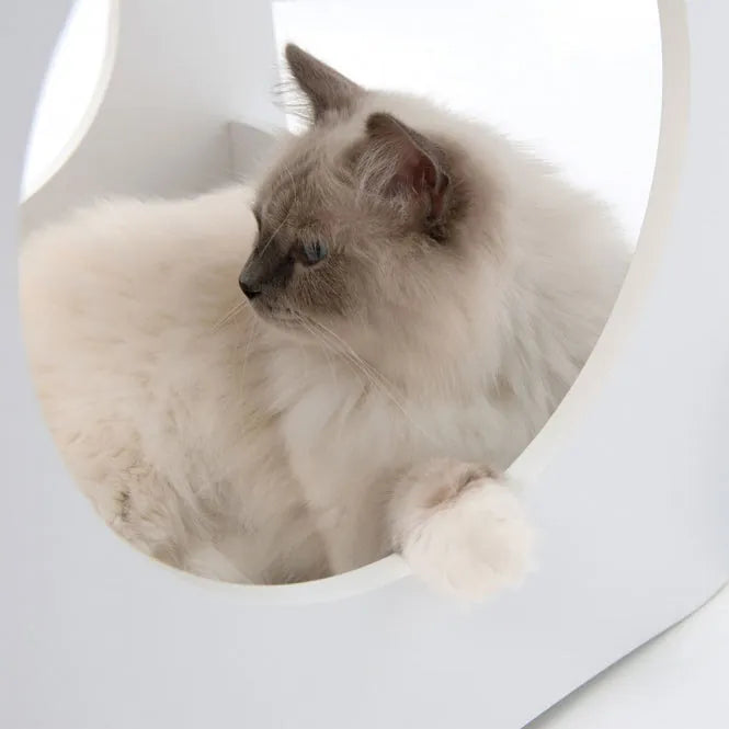 Vesper Katzenhaus Condo - Weiß – stylisch und komfortabel für Katzen