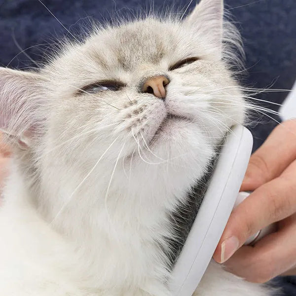 Catit Bürsten-Set für Mittel- und Langhaarkatzen - perfekte Pflege