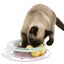Trixie Junior Kitten Circle mit 4 Bällen für Katzen