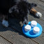 PROCYON Schnüffel-Ring – für Hunde