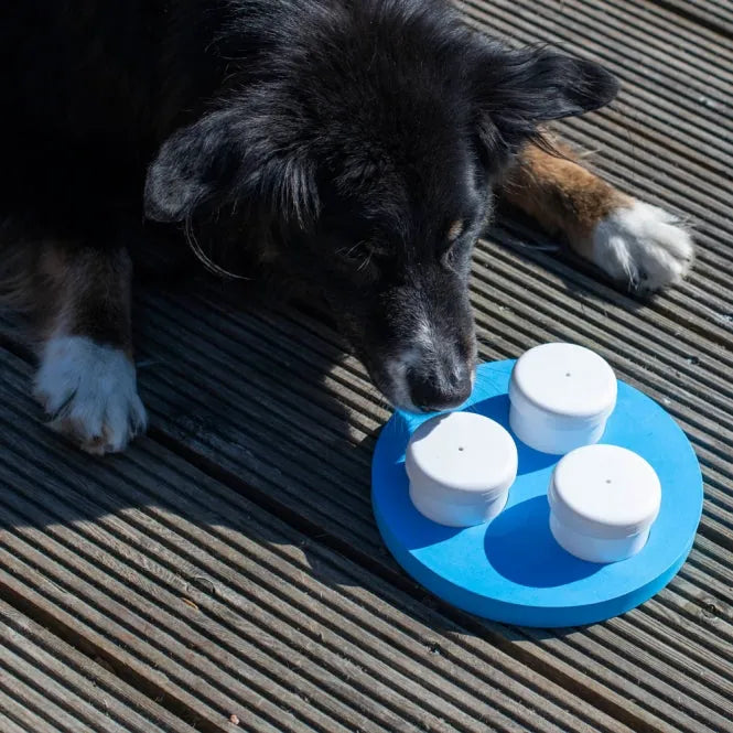PROCYON Schnüffel-Ring – für Hunde