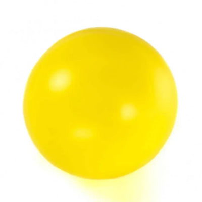 PROCYON Treibball – groß und robust für Hunde