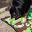 PROCYON Intelligenzschnüffelmatte - für Hunde