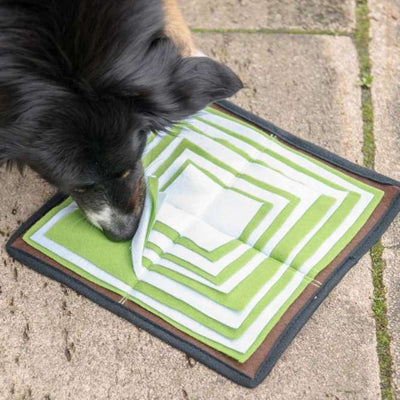 PROCYON Schnüffelpyramide - für Hunde mit Leckerlis