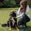 PROCYON Silikonbürste - für Hunde mit Massageeffekt