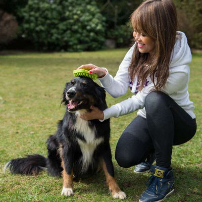 PROCYON Silikonbürste - für Hunde mit Massageeffekt