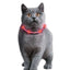Karlie Visio Light Cat LED-Schlauch – sichtbar bis 500m, USB aufladbar