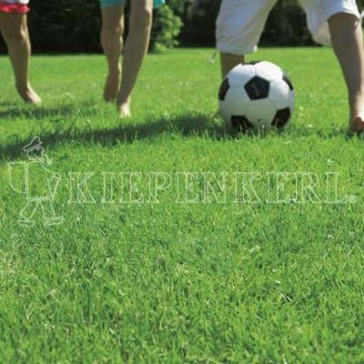 Kiepenkerl RSM 2.3 Gebrauchsrasen Spielrasen 10 kg